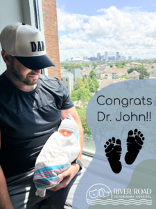A man in a “DAD” hat holds a newborn in a hospital by a sunny window. Text says “Congrats Dr. John!!” with baby footprints and the River Road Veterinary Hospital logo at the bottom.