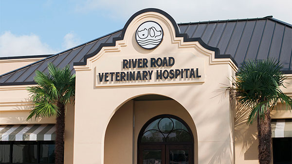 Front view of the river road veterinary hospital building, featuring a prominent archway and the logo of a stethoscope forming a pet's face above the entrance.