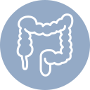 Icon of a human colon on a blue circular background, depicted with a simplified white outline.