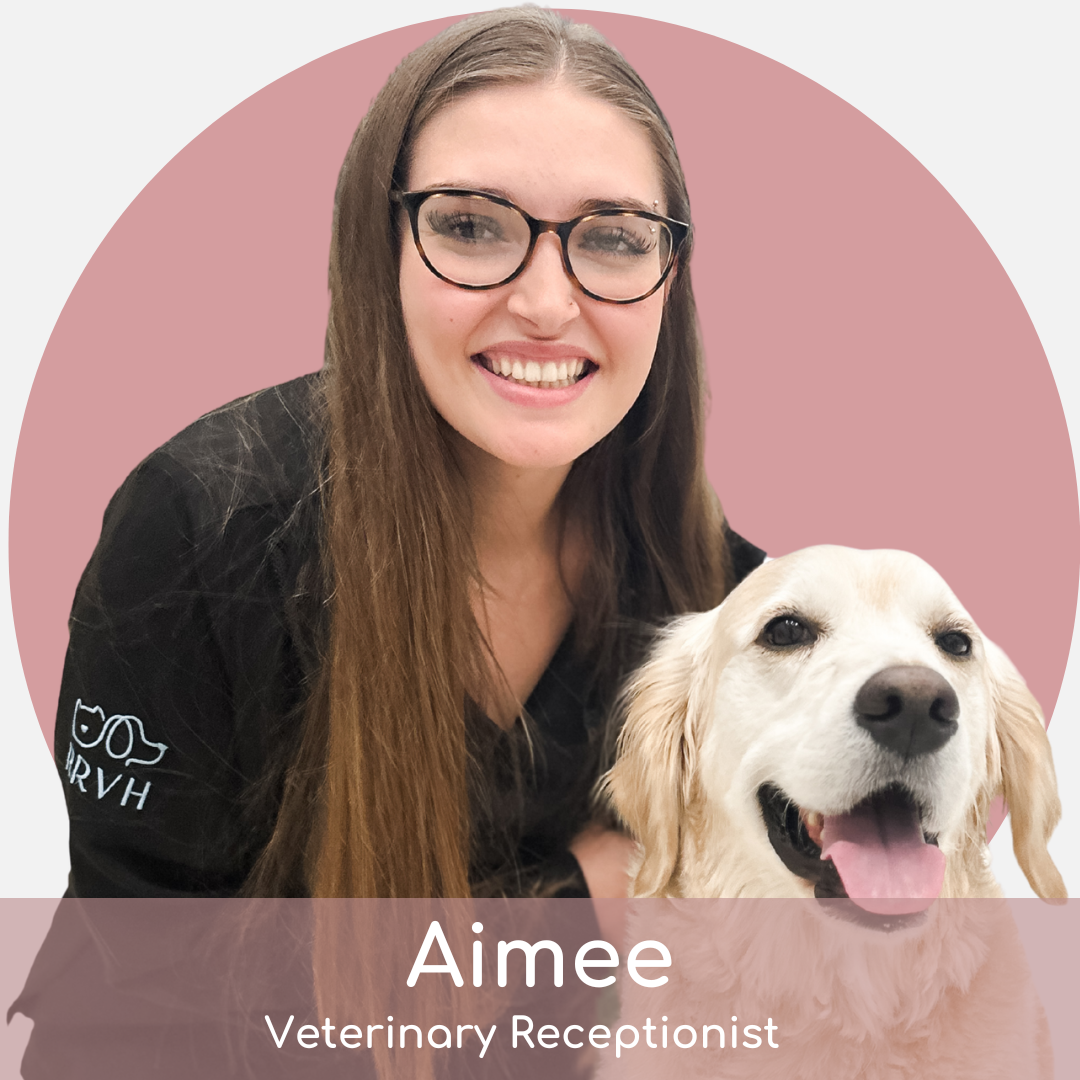 aimee A smiling woman with long brown hair and glasses, wearing a black shirt with a veterinary logo, hugs a happy golden retriever. The text reads "Aimee, Veterinary Receptionist" on a pink background.