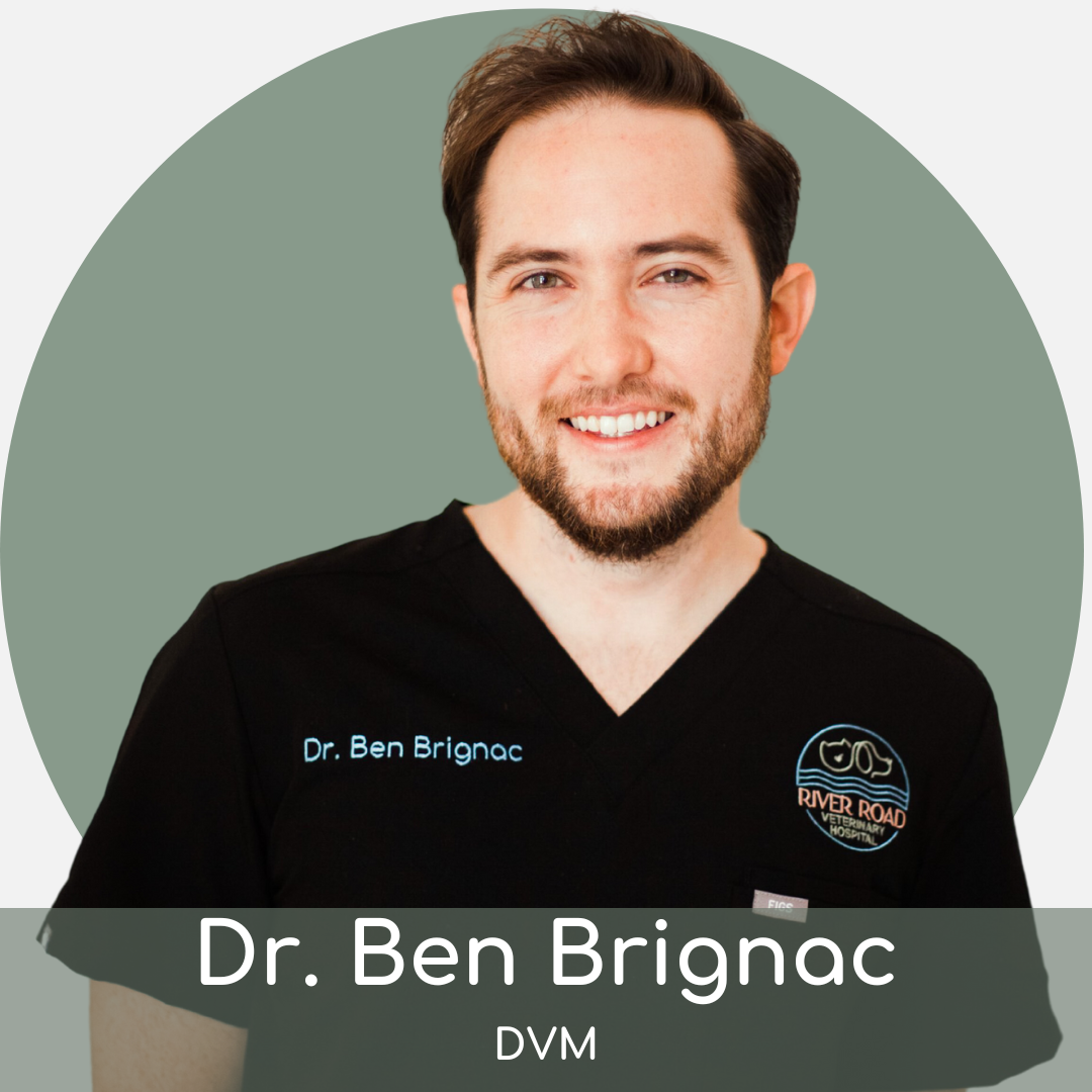 A smiling man with a short beard wearing black medical scrubs labeled "dr. ben brignac dvm" against a light green background. his name tag includes a logo with a magnifying glass and animal silhouette.