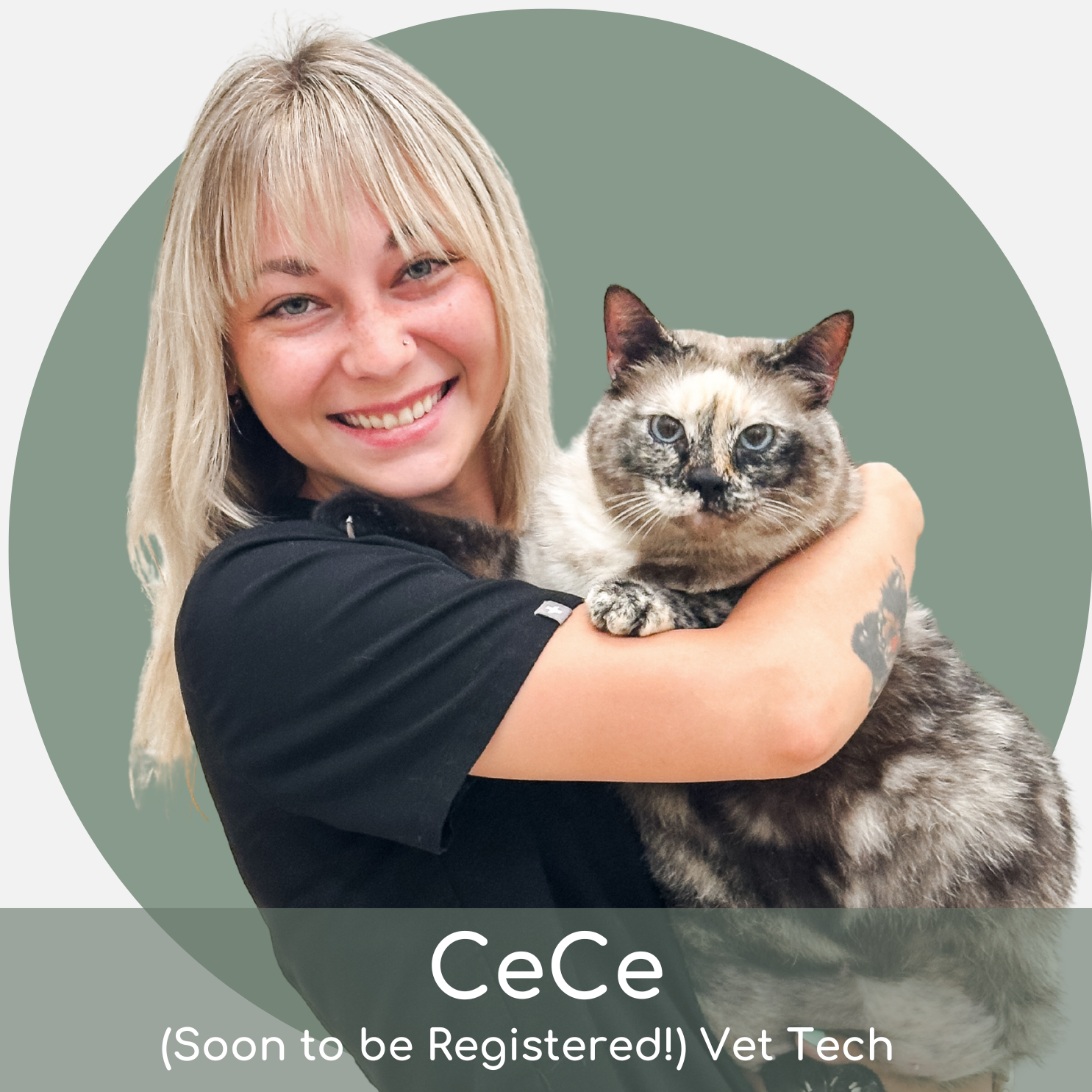 cece (2) A smiling person with blonde hair in black scrubs holds a mottled grey and brown cat. Text below reads: “CeCe (Soon to be Registered!) Vet Tech.”.