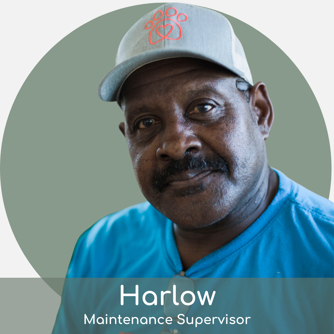 A portrait of harlow, a maintenance supervisor, wearing a blue shirt and a white cap featuring a red logo. he is smiling slightly and looking directly at the camera.