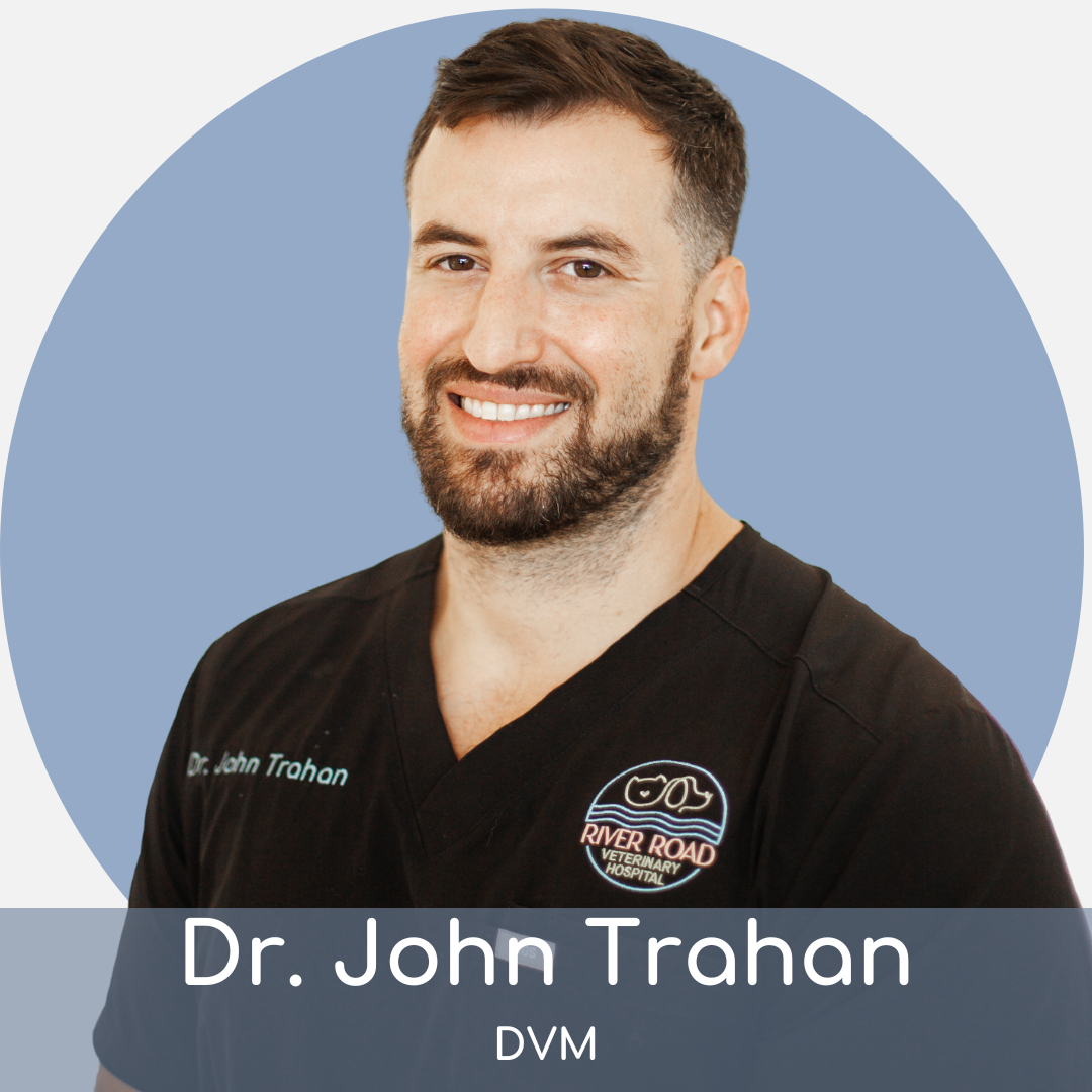 Portrait of a smiling male veterinarian, dr. john trahan, wearing a black scrub with "river road" logo, against a light blue background.