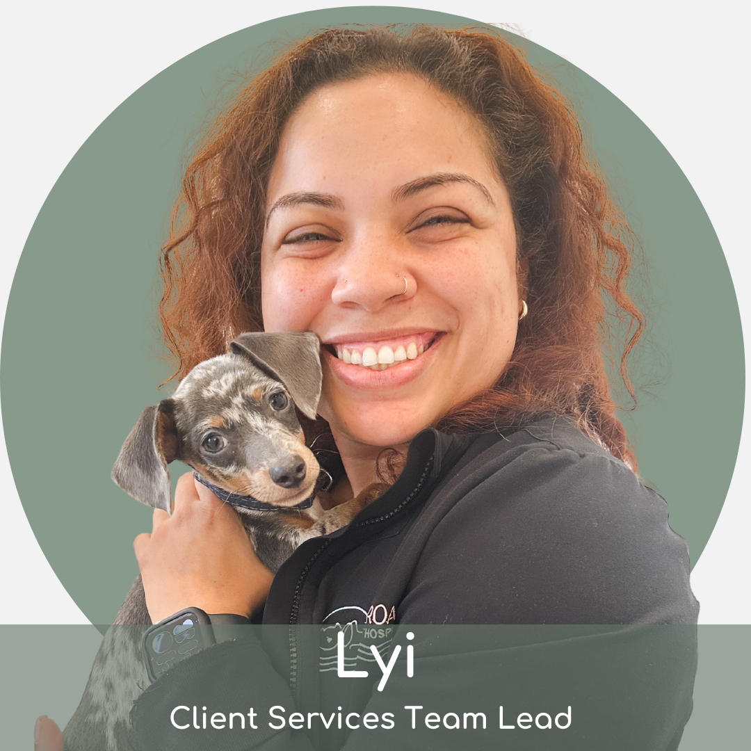ls (3) Smiling person with curly hair holds a small, spotted puppy. Both face the camera. Text at the bottom reads: "Lyi, Client Services Team Lead.