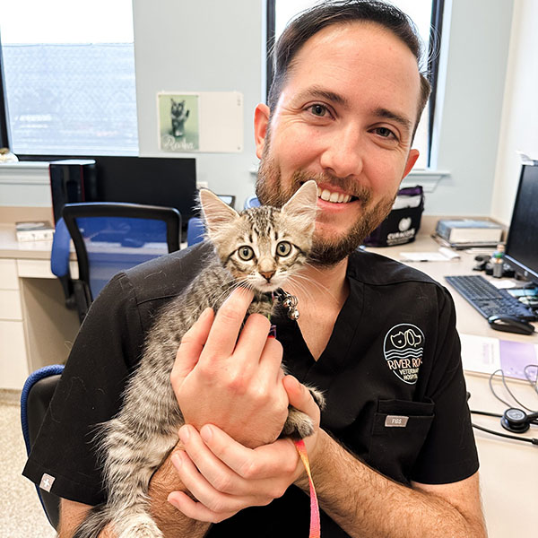 puppy-kitten-sec5 A smiling veterinarian holding a small gray tabby kitten in an examination room, with medical equipment visible in the background.