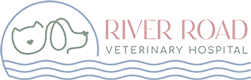 Logo of river road veterinary hospital featuring stylized representations of a stethoscope incorporated into a pet collar, with a backdrop of soothing blue waves and soft pink and green hues, symbolizing compassionate pet care and medical expertise.